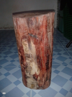 ไม้สวยๆๆ ที่ทุกคนหาและอยากได้ไปทำหัวกรงนกหัวจุก  หรือ  ด้ามปืน  ด้ามมีด สวยแน่ๆๆรับรอง