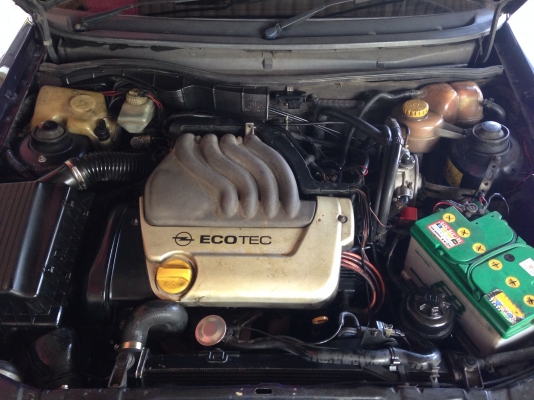 โอเปิ่ลแอดต้า