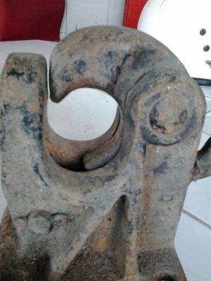 หัวนกแก้วติดพวง