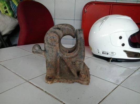 หัวนกแก้วติดพวง หัวนกแก้วติดพวง