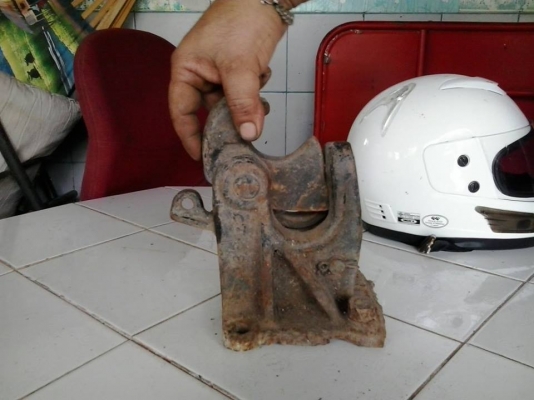 หัวนกแก้วติดพวง หัวนกแก้วติดพวง