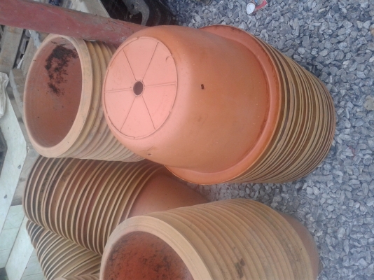 กระถางต้นไม้ ใบละ 25 บาท