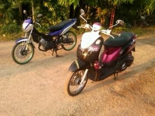 ฟีโน่ ปี53 เดิมๆๆ เครืองดีมาก ทะเบียนพร้อมโอน