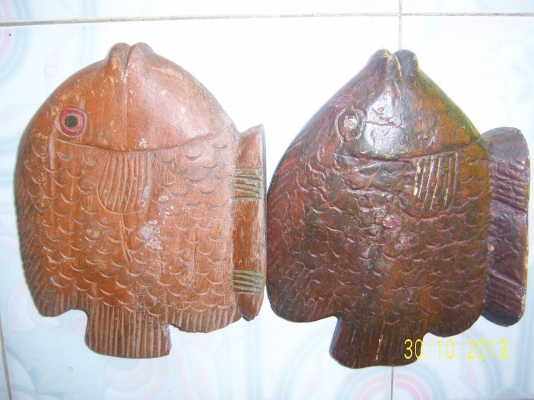 ปลาไม้สัก มี 1 คู่ ยาว 30 ซม. กว้าง 24 ซม