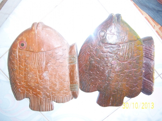 ปลาไม้สัก มี 1 คู่ ยาว 30 ซม. กว้าง 24 ซม