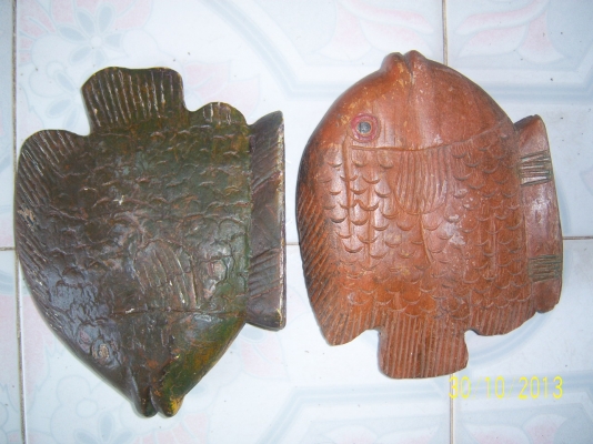 ปลาไม้สัก มี 1 คู่ ยาว 30 ซม. กว้าง 24 ซม