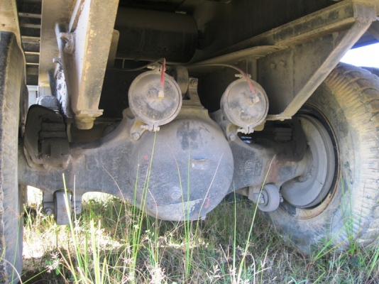 ขายหางพื้นเรียบ