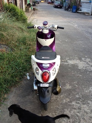 ฟีโน่เกร์แยก ปี54