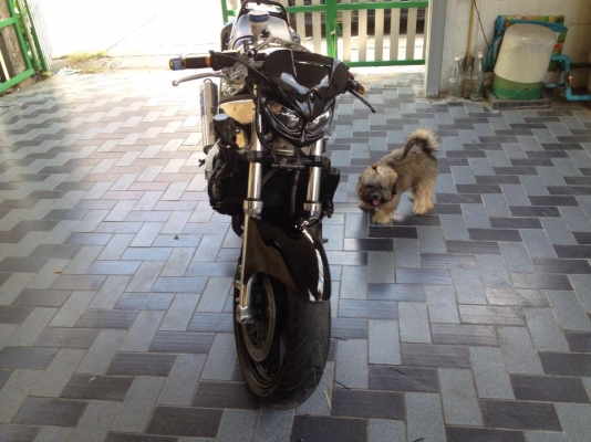 แลกรถยนครับทุกรุ่นเสนอมา kawasaki ZZR 4สูบ 400 cc อินวอย เเท้ รถคันใหญ่ขับทางไกลสบาย แลกรถยนครับทุกรุ่นเสนอมา kawasaki ZZR 4สูบ 400 cc อินวอย เเท้ รถคันใหญ่ขับทางไกลสบาย