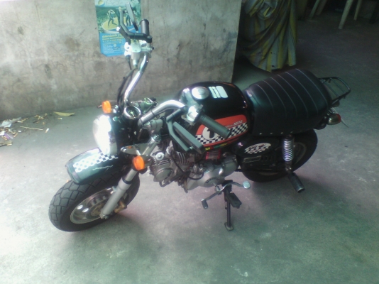 ขายมังกี้ทะเบียนแท้]ลดเหลือ19000