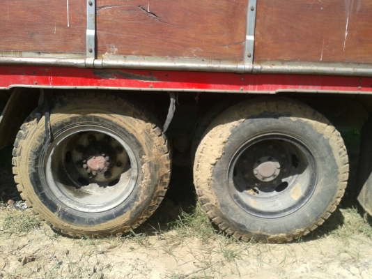 ขาย ISUZU JCM 10 ล้อ 1 เพลา เครื่อง 170 แรง