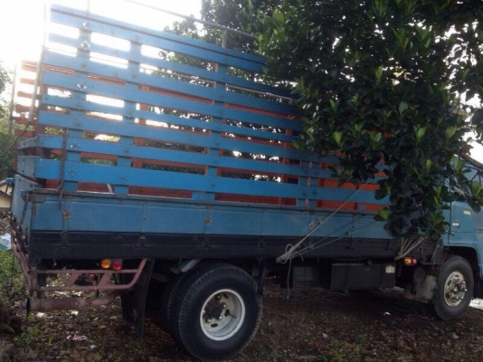 รถอีซูซุ 6 ล้อ รั้ว NPR  เปลื่ยนเครื่อง 110 แรงม้า.  สนใจติดต่อ 081 - 6079515