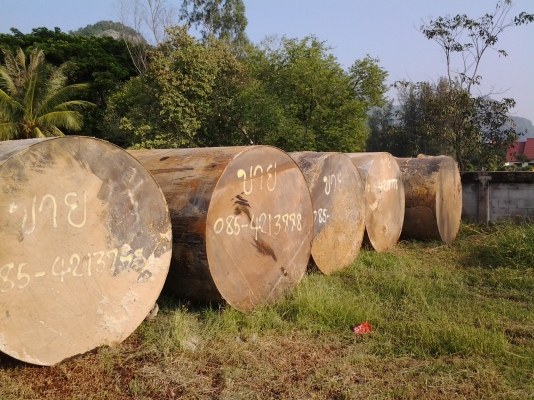 ขายถังน้ำมัน ใต้ดิน มีหลายขนาด 6000-16000 ลิตร