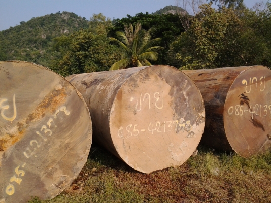 ขายถังน้ำมัน ใต้ดิน มีหลายขนาด 6000-16000 ลิตร