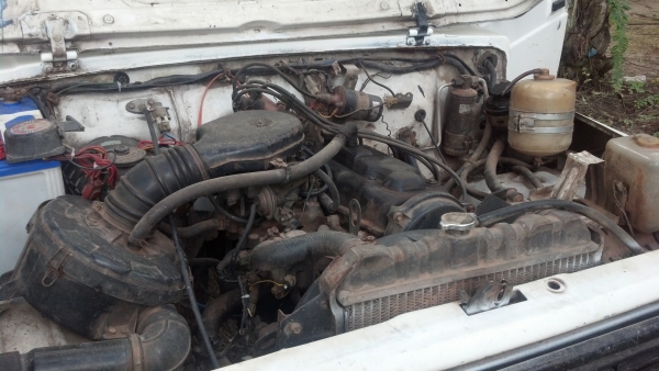 ขายแคริบเบี้ยนให้เอาไปปั้นต่อ ขายแคริบเบี้ยนให้เอาไปปั้นต่อ