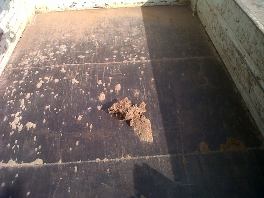 ขายISUZU NPR115 ดั๊มติดเฮี๊ยบยูนิคใหม่ ญี่ปุ่นแท้ๆทั้งคัน สภาพสวยพร้อมใช้ ติดต่อได้ที่คุณ อ๊อฟ พิจิตร 086-737-9991