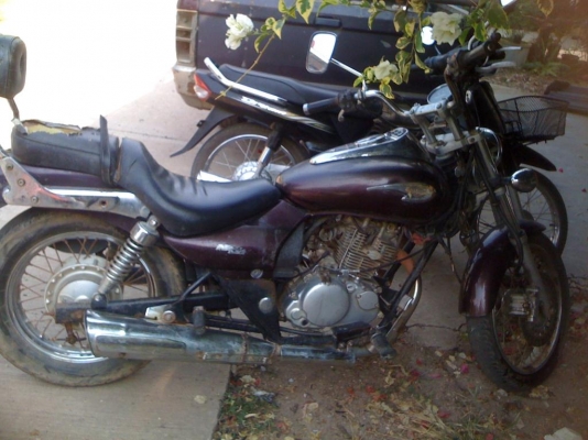 ขาย boss 175 ถูกๆ 16000