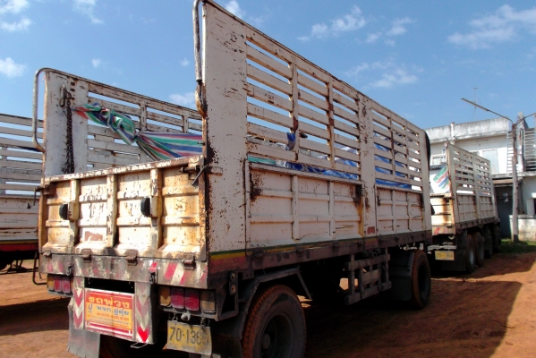 ขายด่วนรถสิบล้อFN527MAเครือง6D16เทอโบอินเตอไมดรั้ม ขายด่วนรถสิบล้อFN527MAเครือง6D16เทอโบอินเตอไมดรั้ม