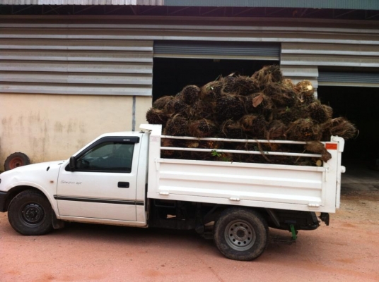 ดั้มกะบะ 3ตัน 4ตัน 5ตัน 6ตัน