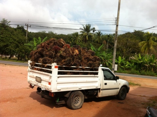 ดั้มกะบะ 3ตัน 4ตัน 5ตัน 6ตัน