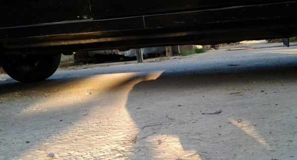 ขาย ISUZU TFR ปี 93 รถเดิมๆ สภาพดี ครัชซี สวย แอร์หน๊าวหนาว พวงมาลัยเพาว์เวอร์แท้Hpy รถป้ายแดงผู้หญิงขี่มือเดียว ขาย ISUZU TFR ปี 93 รถเดิมๆ สภาพดี ครัชซี สวย แอร์หน๊าวหนาว พวงมาลัยเพาว์เวอร์แท้Hpy รถป้ายแดงผู้หญิงขี่มือเดียว