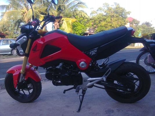 honda msx 125 เหมือนได้ออกใหม่ 65000 บาท honda msx 125 เหมือนได้ออกใหม่ 65000 บาท