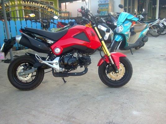 honda msx 125 เหมือนได้ออกใหม่ 65000 บาท honda msx 125 เหมือนได้ออกใหม่ 65000 บาท