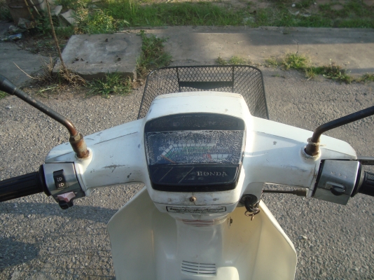 ดรีมคุรุสภา สีขาว ดรีมคุรุสภา สีขาว