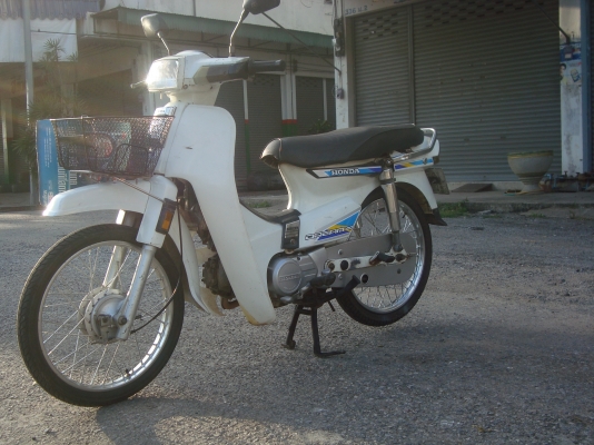 ดรีมคุรุสภา สีขาว ดรีมคุรุสภา สีขาว