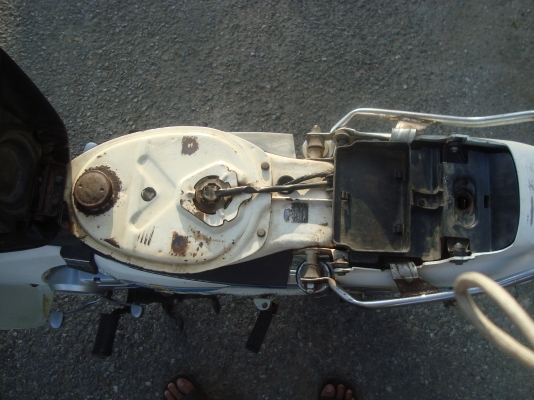 ดรีมคุรุสภา สีขาว ดรีมคุรุสภา สีขาว