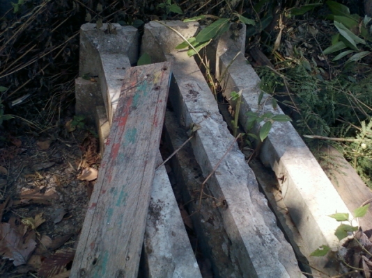 ขายโรงสีข้าว สี่ข้าวได้ประมาณวันละ 20กระสอบ