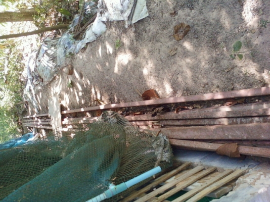 ขายโรงสีข้าว สี่ข้าวได้ประมาณวันละ 20กระสอบ