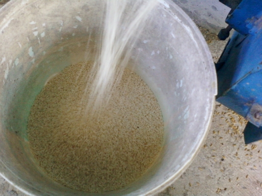 ขายโรงสีข้าว สี่ข้าวได้ประมาณวันละ 20กระสอบ