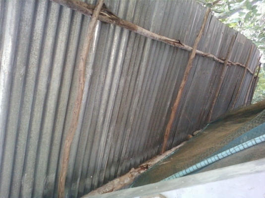 ขายโรงสีข้าว สี่ข้าวได้ประมาณวันละ 20กระสอบ