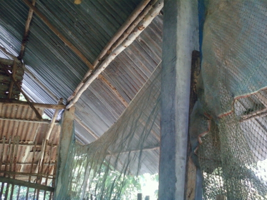 ขายโรงสีข้าว สี่ข้าวได้ประมาณวันละ 20กระสอบ