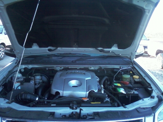 ขายดีแม็ก แคป ซุปเปอร์ไททาเนี่ยม