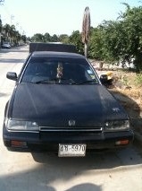 ฝากขาย Accord 2.0 MT 40,000 คุณเดือน 081-577-9025 ฝากขาย Accord 2.0 MT 40,000 คุณเดือน 081-577-9025