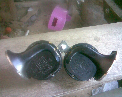 แตรคู่ยุโรป