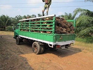 ขายหกล้อ   NISSAN    CABSTAR   100  HP  เดิมๆครับ