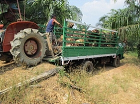 ขายหกล้อ   NISSAN    CABSTAR   100  HP  เดิมๆครับ