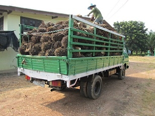 ขายหกล้อ   NISSAN    CABSTAR   100  HP  เดิมๆครับ