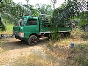ขายหกล้อ   NISSAN    CABSTAR   100  HP  เดิมๆครับ