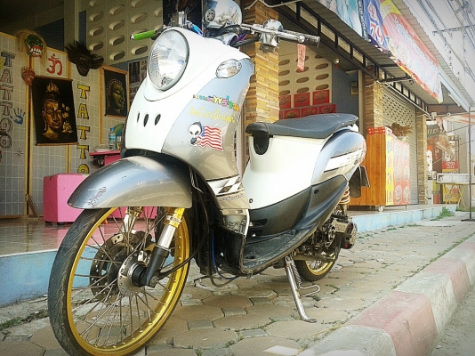 ฟีโน่ ราคเบาๆ10000บาท มาก่อนได้ก่อนน่ะครับ