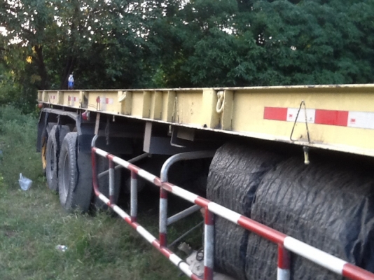 ขายหาง12ม. 3เพลายัด