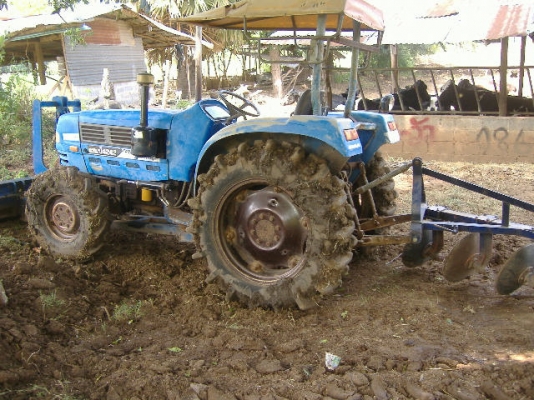 แชมป์4242 พร้อมใช้ แชมป์4242 พร้อมใช้