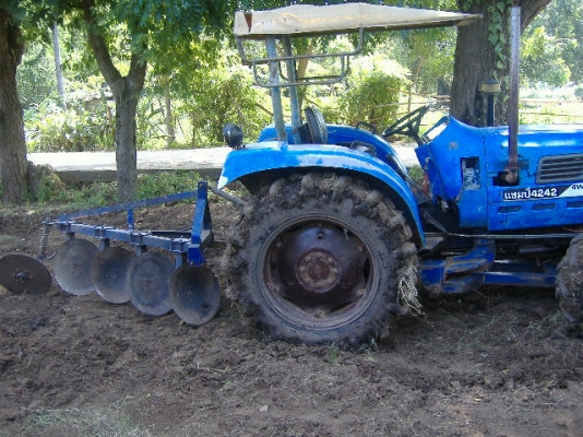 แชมป์4242 พร้อมใช้ แชมป์4242 พร้อมใช้