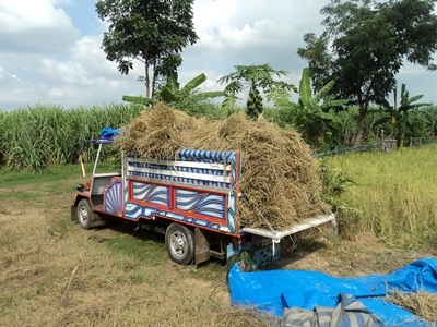 รถอีแต๋นเช็คใหม่ทั้งหมดพร้อมใช้ (บริการส่งฟรีครับ) รถอีแต๋นเช็คใหม่ทั้งหมดพร้อมใช้ (บริการส่งฟรีครับ)