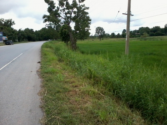 ขายที่ดิน 15ไร่ , 7ไร่ ติดทางหลวง201 กม.13 อ.สีคิ้ว จ.นครราชสีมา