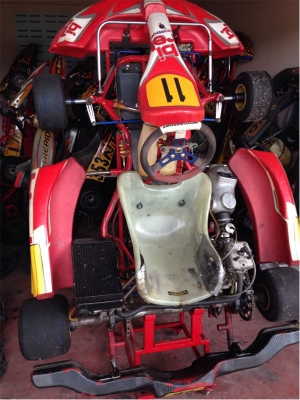 *** ขายโกคาร์ท Birel kart