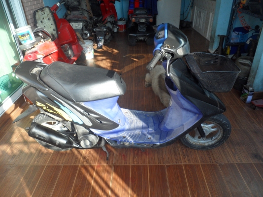 ป๊อบ ฮอนด้า 5300